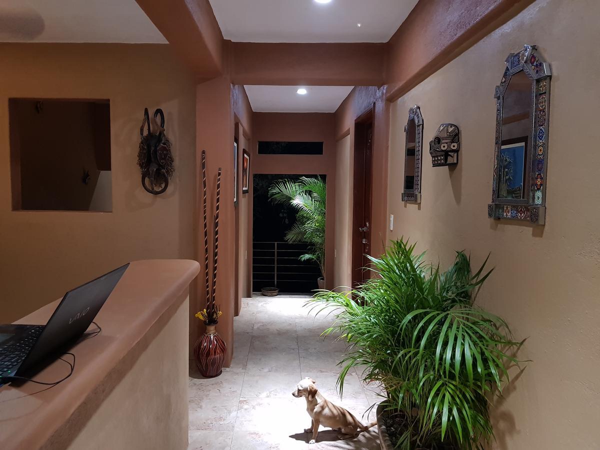 Casa Arcoiris Zihuatanejo B&B Exterior foto